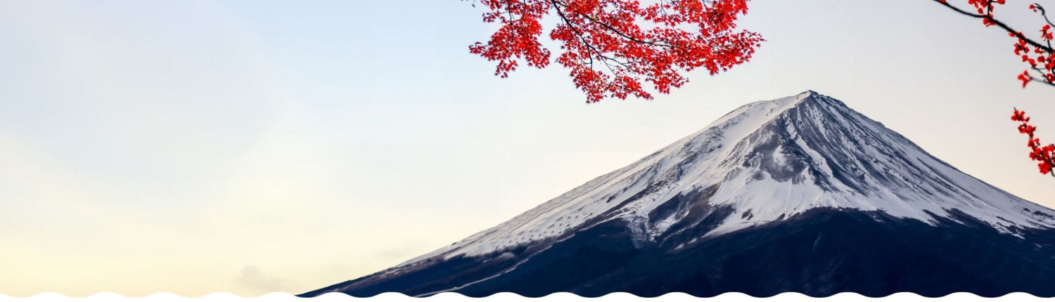 Binchotan japon purifier eau robinet bio naturel