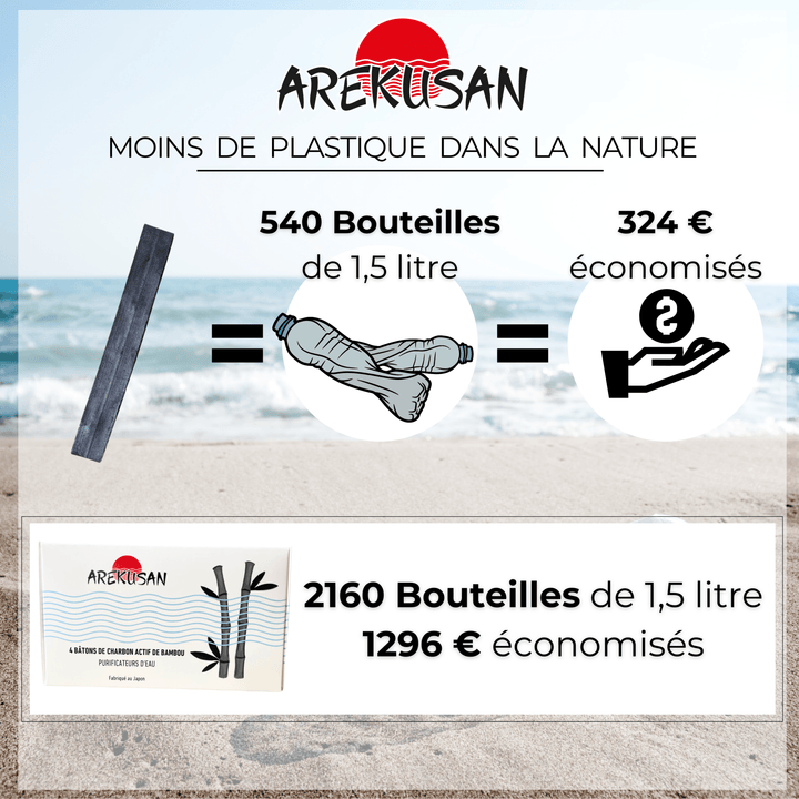 Boîte de 4 bâtons de Takesumi, charbon actif de Bambou purificateur d'eau