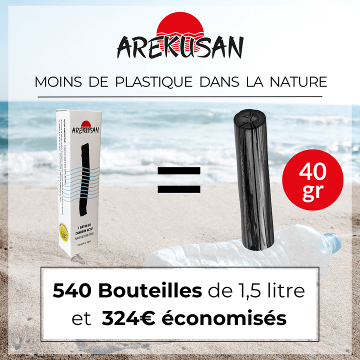 Boîte de 1 bâton de charbon actif purificateur d'eau