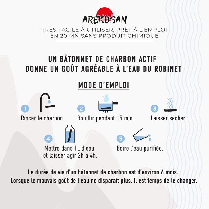 Boîte de 1 bâton de charbon actif purificateur d'eau