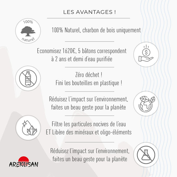 Boîte de 5 bâtons de charbon actif purificateurs d'eau